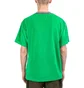 Pleasures Bright Velour Shirt (Grün)