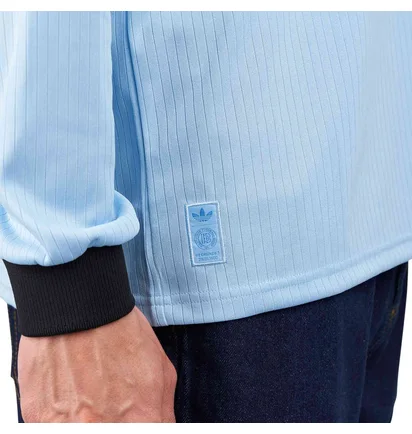 adidas DFB 125 Jahre Jersey Longsleeve (Blau / Schwarz)