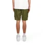 The North Face NSE Cargo Short (Grün)