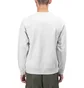 Carhartt WIP Chase Sweatshirt (Hellgrau)