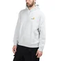Carhartt WIP American Script Hoodie (Hellgrau)