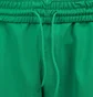 adidas Firebird Short (Grün)