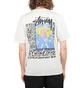 Stüssy Camellias Pig. Dyed T-Shirt (Weiß)