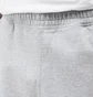 Stüssy Overdyed Stock Logo Pant (Grau)