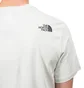 The North Face Blackbox Logo Tee (Grau)