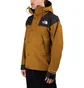 The North Face GTX Mountain Jacket (Oliv)