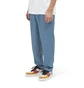 Stüssy Bryan Pant (Blau)