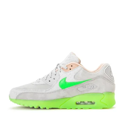 Nike Air Max 90 Premium 'New Species' (Grau / Grün)
