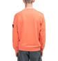 Stone Island Sweatshirt (Hellorange)