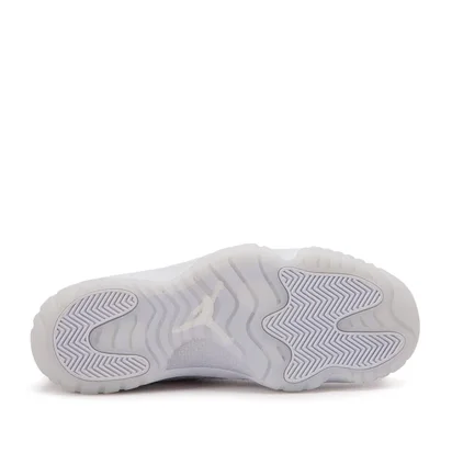 Air Jordan Future (Silbergrau)