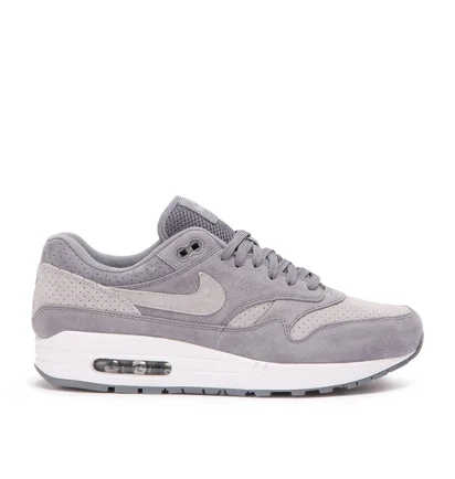 Nike Air Max 1 Premium (Grau)
