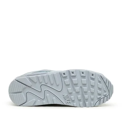 Nike Air Max 90 (Grau)