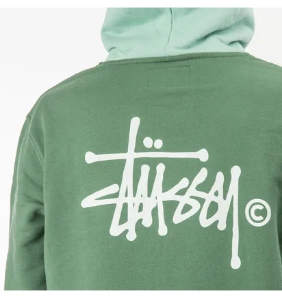 Stüssy Two Tone Hood (Grün)