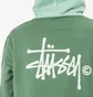 Stüssy Two Tone Hood (Grün)