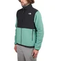 The North Face Denali Jacket (Schwarz / Grün)