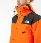 The North Face M 1990 Mountain Jacket GTX (Orange)