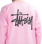 Stüssy Basic Longsleeve (Pink)