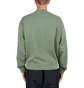Carhartt WIP Nelson Sweat (Grün)