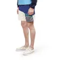Aimé Leon Dore Color Blocked Hiking Shorts (Blau / Beige)