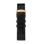 Timex Archive Marlin Automatic 40mm Leather Strap (Schwarz / Gold)