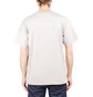 Carhartt WIP Sedona T-Shirt (Grau)