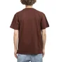 Carhartt WIP American Script T-Shirt (Braun)