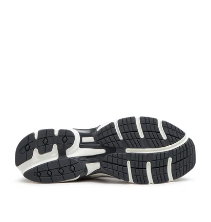 Reebok Premier Road Plus VI (Grau / Weiß)