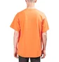 Nike ACG T-Shirt (Orange)