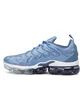 Nike Air VaporMax Plus (Blau / Grau)