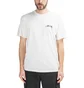 Stüssy Bloom Pig. Dyed Tee (Weiß)