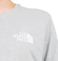 The North Face International Collection Climb GR T-Shirt (Hellgrau)