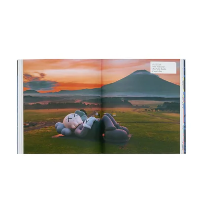 Phaidon: Kaws