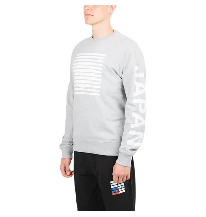 The North Face International Collection Crewneck (Hellgrau)