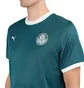Puma x Palmeiras Ringer Tee (Grün)