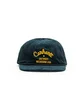 Carhartt WIP Dennis Cap (Grün)