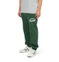 Nike x Stranger Things Club Pant CF (Grün / Weiß)