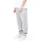 Stüssy Overdyed Stock Logo Pant (Grau)