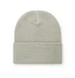 Carhartt WIP Short Watch Hat (Grau)
