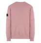 Stone Island Sweat Shirt (Quarz)