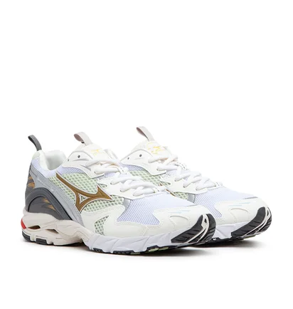 Mizuno Wave Rider 10 (Beige / Multi)