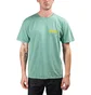 Stüssy Stock C. Pig Dyed Tee (Grün)