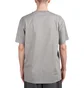 Carhartt WIP S/S American Script T-Shirt (Grau)