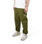 The North Face Easy Wind Hose (Grün)