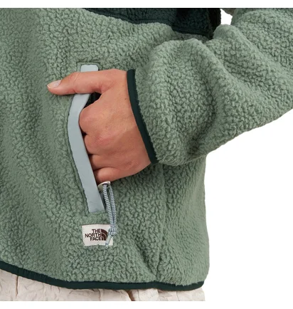 The North Face Cragmont Fleece Jacket (Grün)