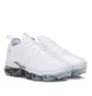 Nike Air VaporMax Plus (Weiß)