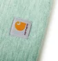 Carhartt WIP Acrylic Watch Hat (Grün)