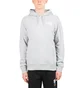The North Face International Collection Classic Climb Hoodie (Hellgrau)