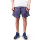 Nike ACG Shorts (Blau / Grün)