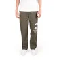 Pleasures Power Beach Pant (Grün)