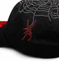 Dime Spider Low Pro Cap (Schwarz)